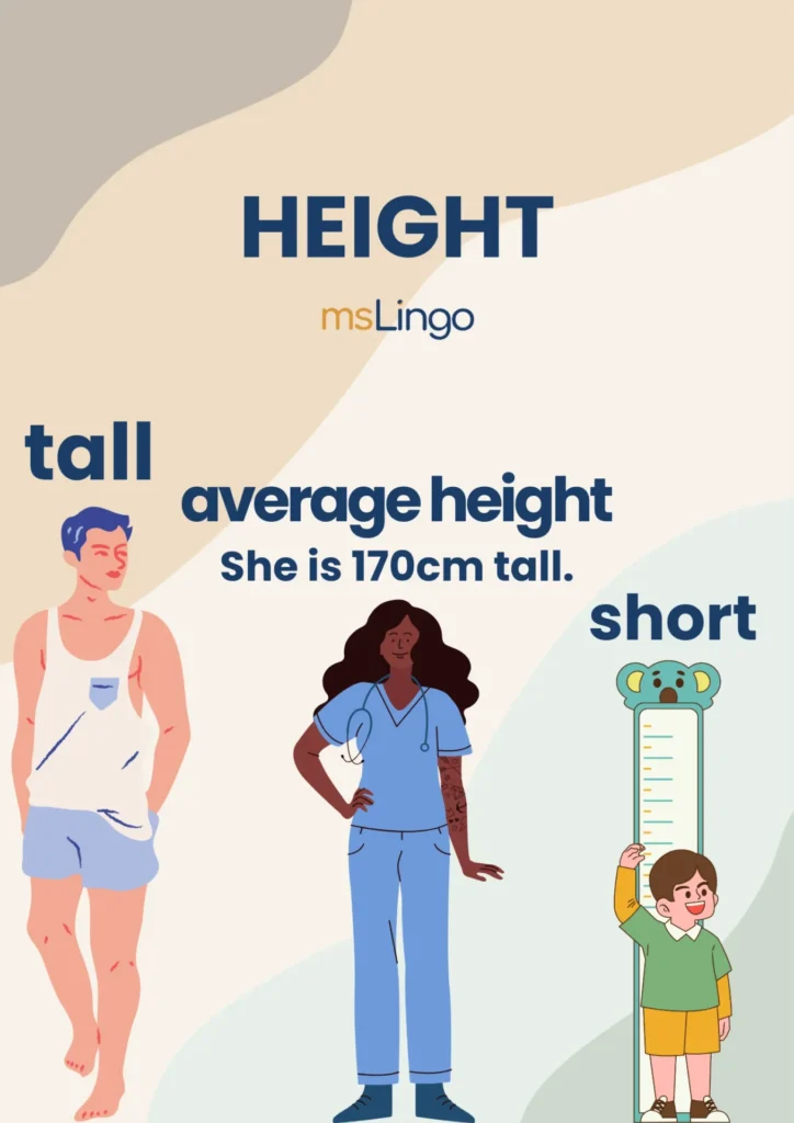 Vežbe pisanja A2 - Describe a person