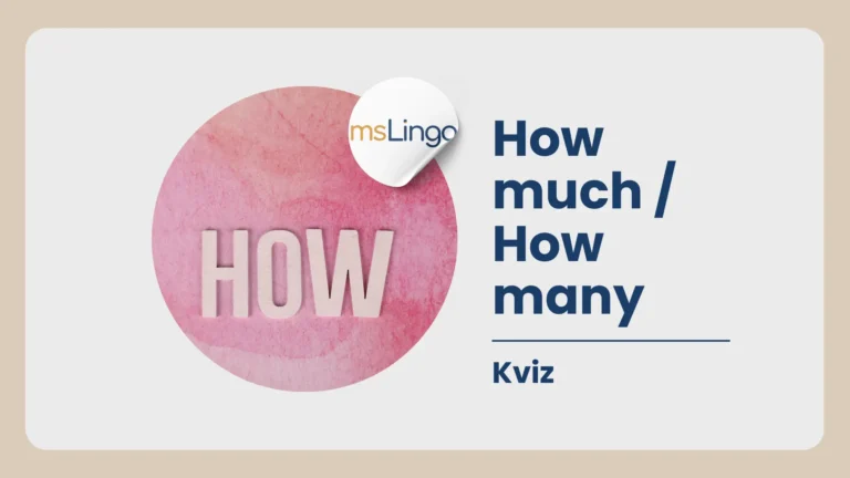 How much How many kviz